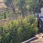 호텔 Canaan Boutique 3*