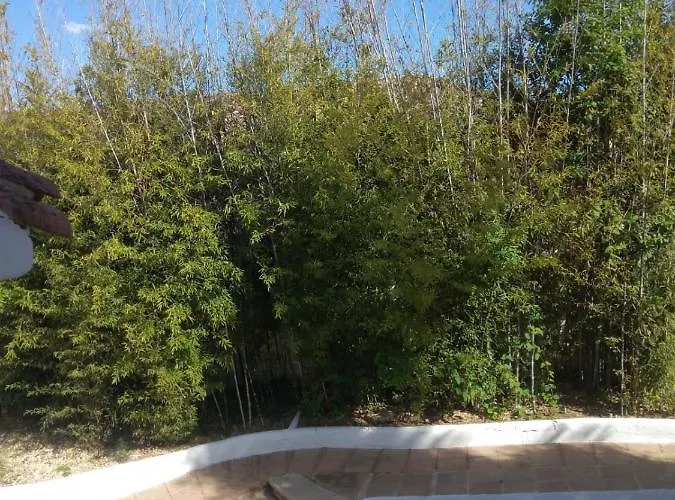 Hotel Canaan Boutique 3*