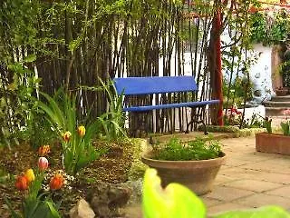 Hotel Canaan Boutique 3*